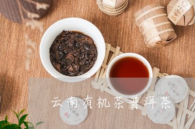 云南有机茶普洱茶/2023041275172