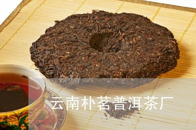 云南朴茗普洱茶厂/2023033071715