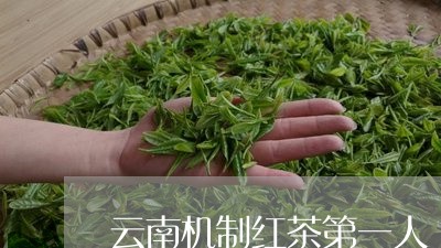 云南机制红茶第一人/2023032238470