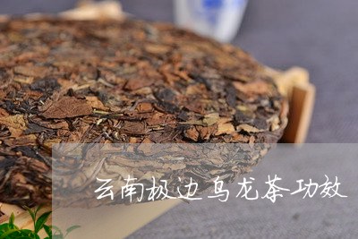 云南极边乌龙茶功效/2023032253603