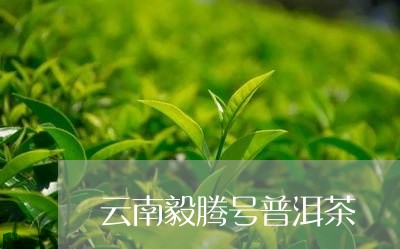 云南毅腾号普洱茶/2023031609797