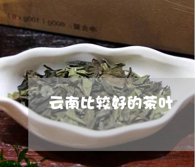 云南比较好的茶叶/2023031722948