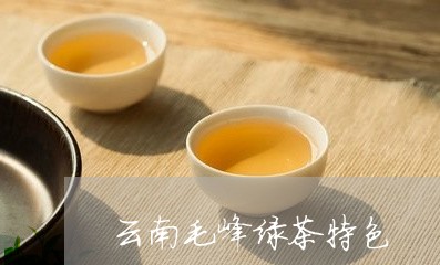 云南毛峰绿茶特色/2023032573826