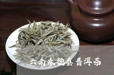 云南永德县普洱茶/2023031688492