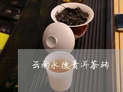 云南永德普洱茶砖/2023032901938