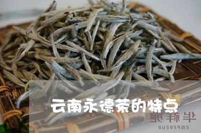 云南永德茶的特点/2023032596935