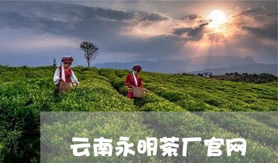 云南永明茶厂官网/2023031714139