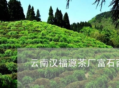 云南汉福源茶厂富石西白茶/2023033176148