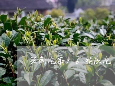 云南沱茶96销法沱/2023032167462