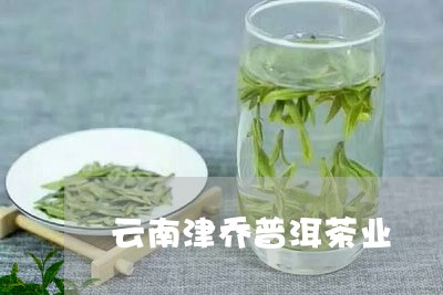 云南津乔普洱茶业/2023032983936