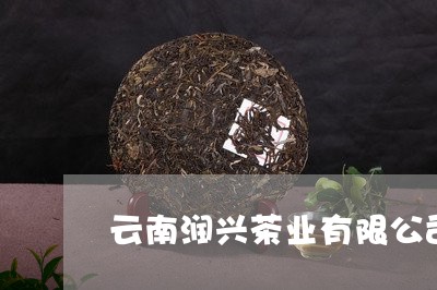 云南润兴茶业有限公司白茶/2023033134948