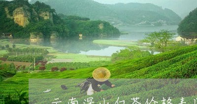 云南深山白茶价格表图大全/2023033128593