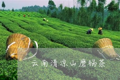 云南清凉山磨锅茶/2023032597284