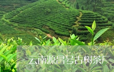 云南源昌号古树茶厂/2023032147482