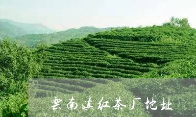 云南滇红茶厂地址/2023032900572