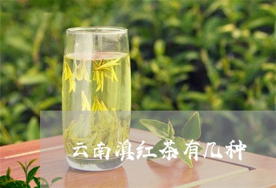 云南滇红茶有几种/2023031834956