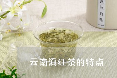 云南滇红茶的特点/2023041474029