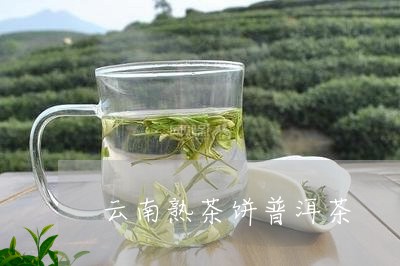 云南熟茶饼普洱茶/2023031649361