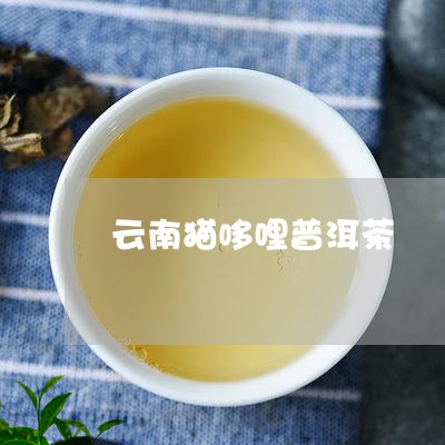 云南猫哆哩普洱茶/202303814