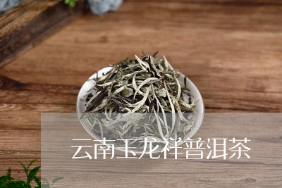 云南玉龙祥普洱茶/2023041095169