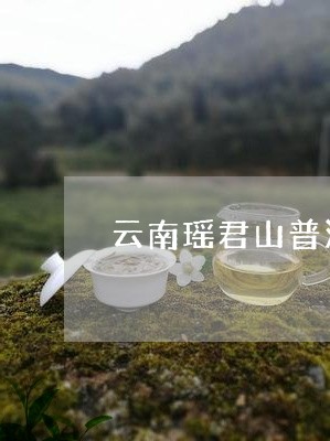 云南瑶君山普洱茶/2023041078371