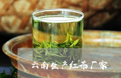 云南生产红茶厂家/2023032575947