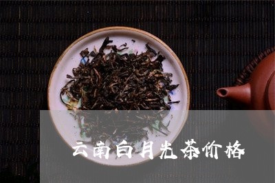 云南白月光茶价格/2023032729518