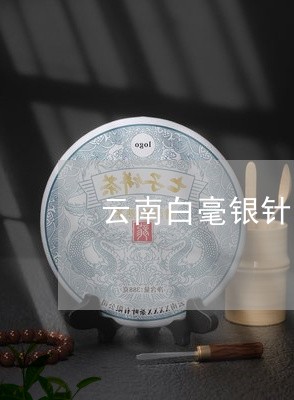 云南白毫银针品牌加盟代理/2023033115360