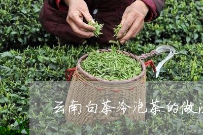 云南白茶冷泡茶的做法窍门/2023040183049