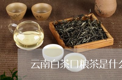 云南白茶口粮茶是什么味道/2023040154727