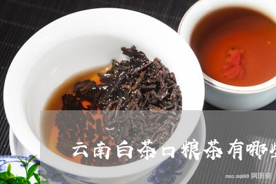 云南白茶口粮茶有哪些品牌/2023040110805