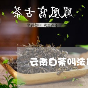 云南白茶叫法及功效与作用/2023040129583