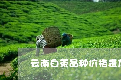 云南白茶品种价格表及图片/2023040195273