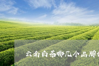 云南白茶哪几个品牌做得好/2023040195050