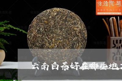 云南白茶好在哪些地方好卖/2023040189382