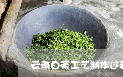 云南白茶工艺制作过程简述/2023040110504