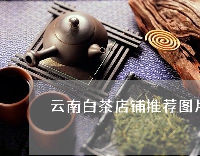 云南白茶店铺推荐图片大全/2023040158492