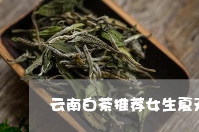 云南白茶推荐女生夏天喝吗/2023033187058