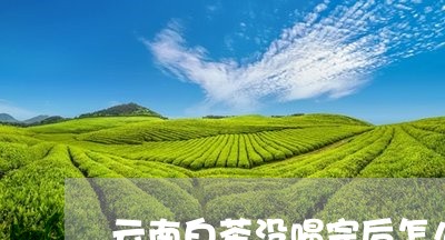 云南白茶没喝完后怎么保存/2023040172827