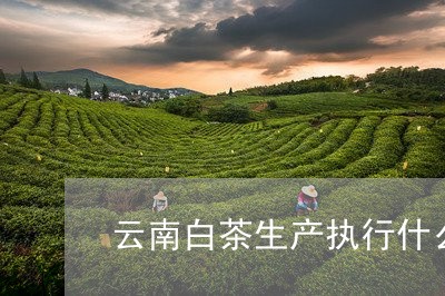 云南白茶生产执行什么标准/2023040191605