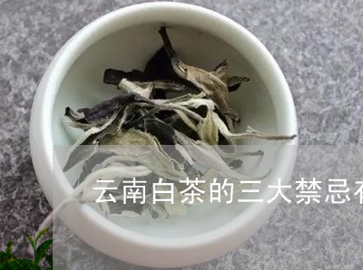 云南白茶的三大禁忌有哪些/2023040177571