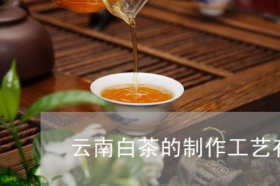 云南白茶的制作工艺有哪些/2023040107160