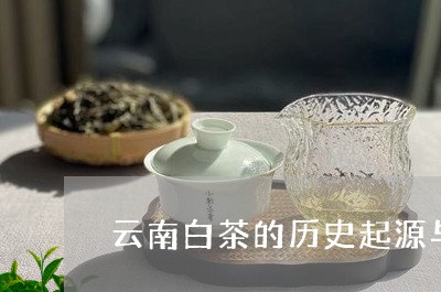 云南白茶的历史起源与发展/2023040164169