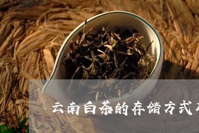 云南白茶的存储方式有哪些/2023040129483