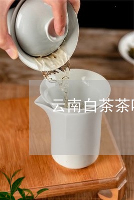 云南白茶茶叶渠道加盟条件/2023040111481