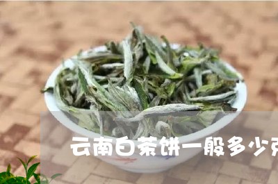 云南白茶饼一般多少克一杯/2023033126381