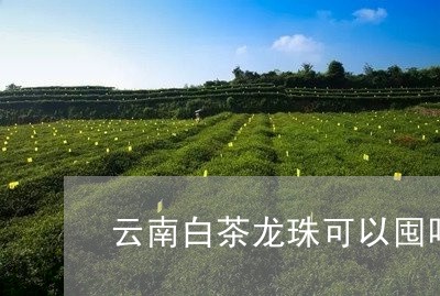 云南白茶龙珠可以囤吗现在/2023033160596