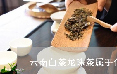 云南白茶龙珠茶属于什么茶/2023033153745