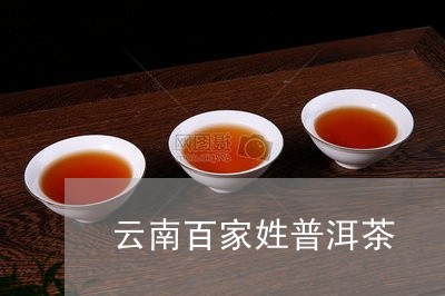 云南百家姓普洱茶/2023033002638