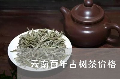 云南百年古树茶价格/2023032170392